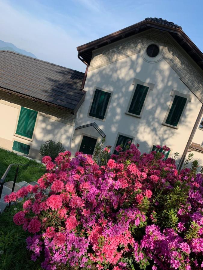 Giardini Magnolia Apartment Belgirate Exterior photo