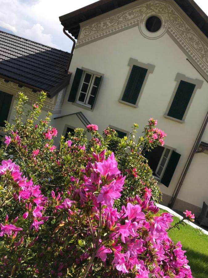 Giardini Magnolia Apartment Belgirate Exterior photo